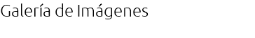 Galería de Imágenes